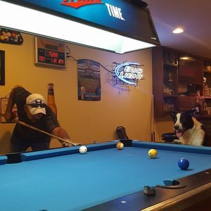 Meet your Posher, Lee